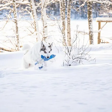 Lomakylät Niemilomat *