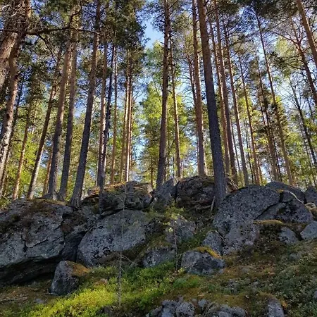 Niemilomat Варкаус