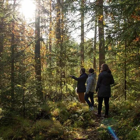 Niemilomat * Varkaus