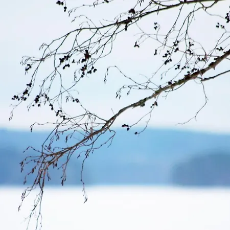 Niemilomat Varkaus