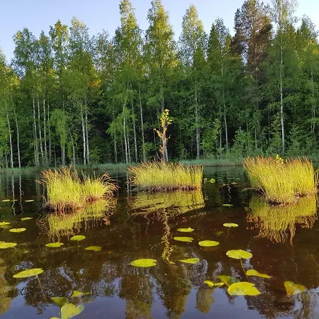 Niemilomat Holiday park