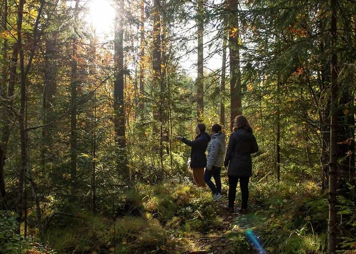 Niemilomat * Varkaus